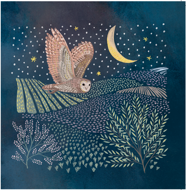 Close up of Night Owl Card showing a beautifully illustrated owl flying over fields and trees at night next to the moon and stars in navy blue