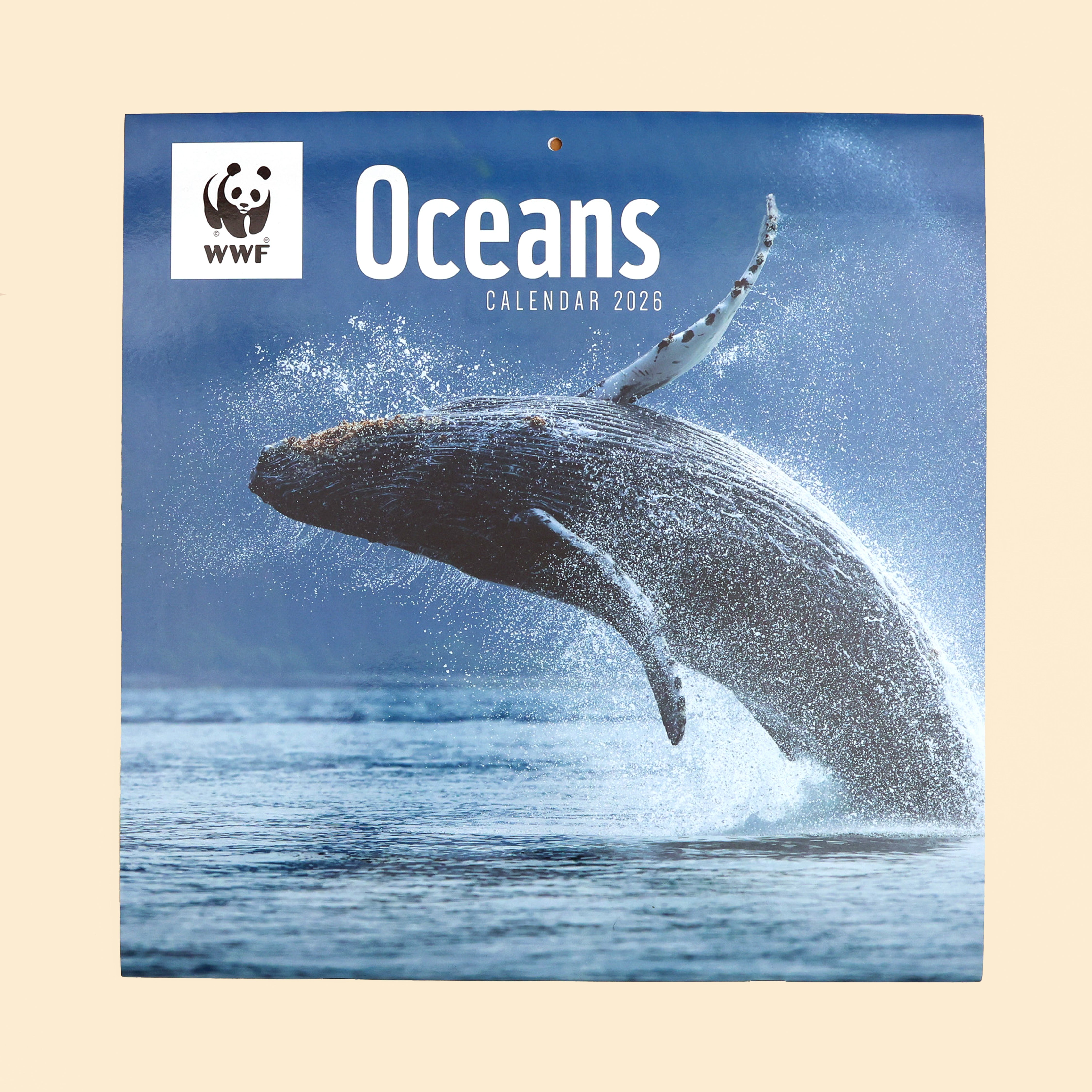 Oceans Wall Calendar 2026