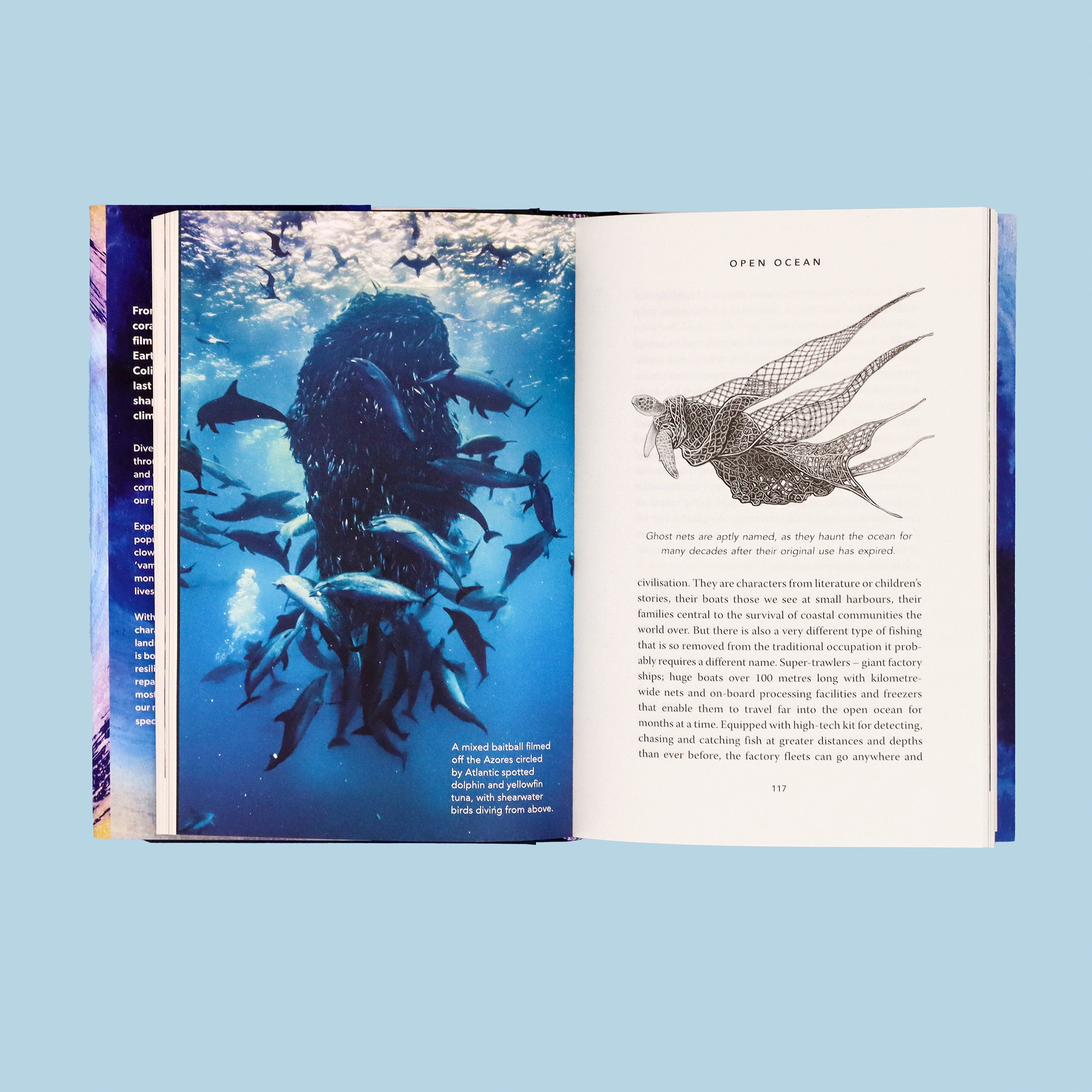 Ocean: Earth's Last Wilderness