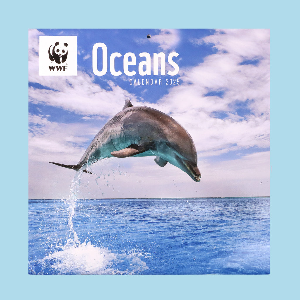 Oceans Wall Calendar 2025