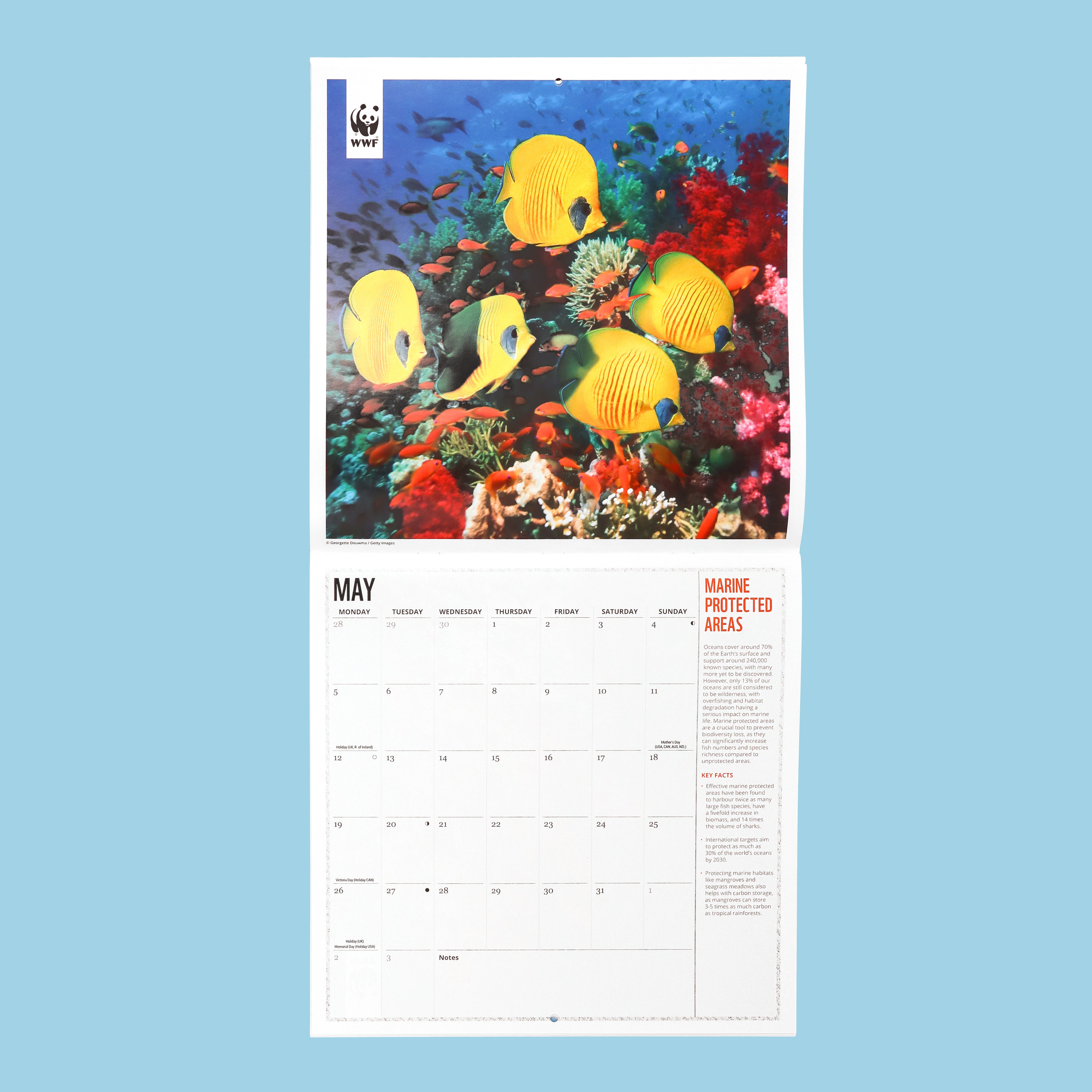 Oceans Wall Calendar 2025