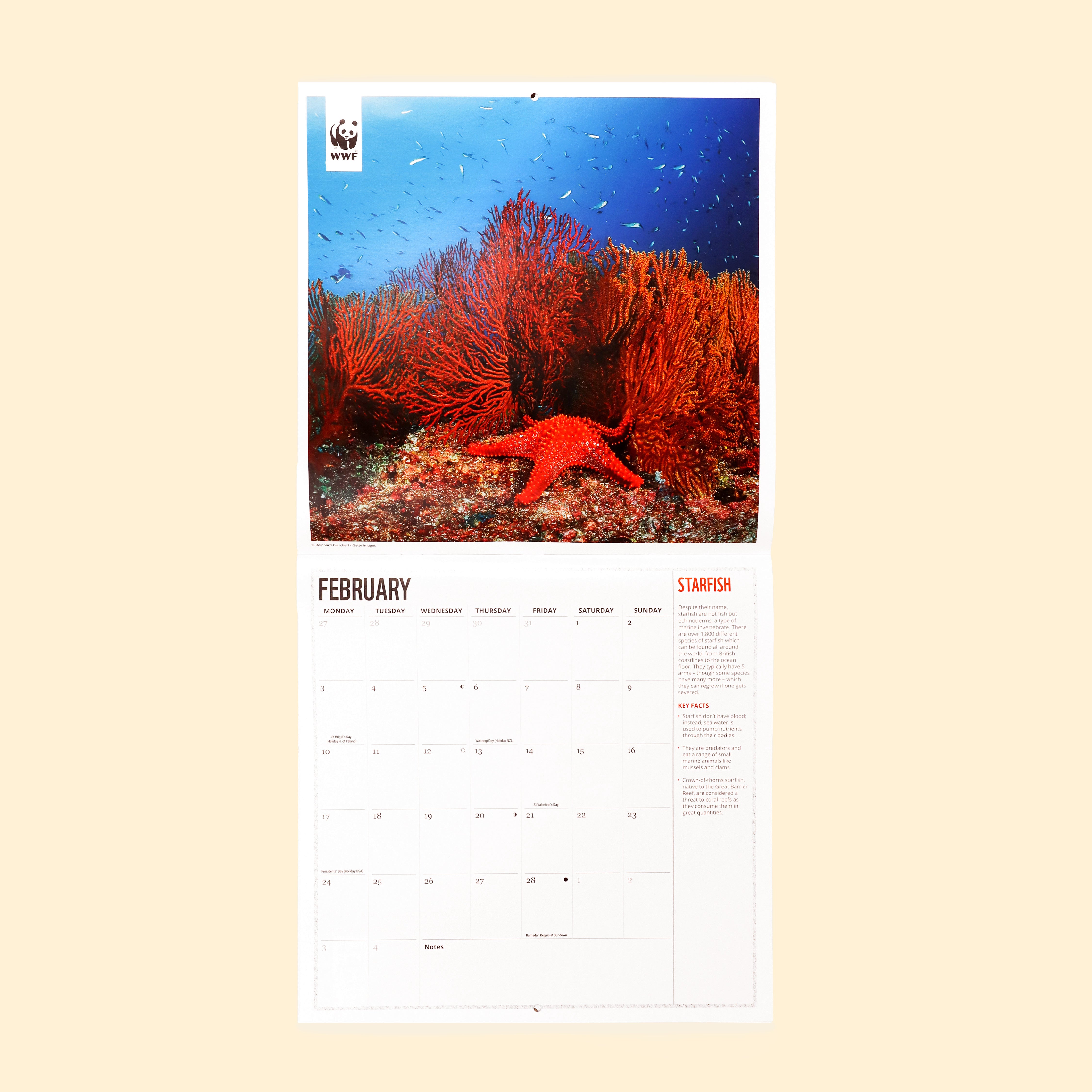 Oceans Wall Calendar 2025