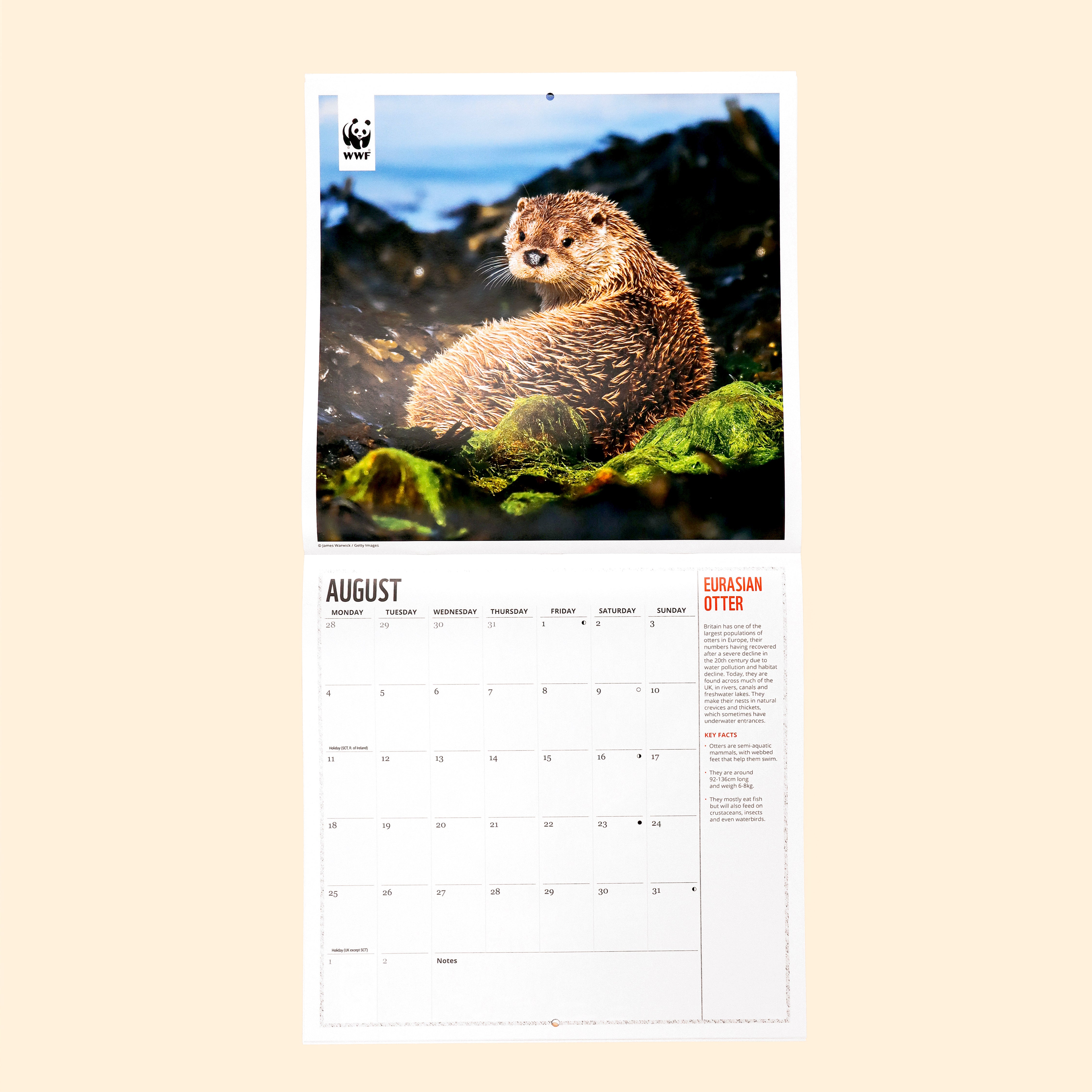 Oceans Wall Calendar 2025