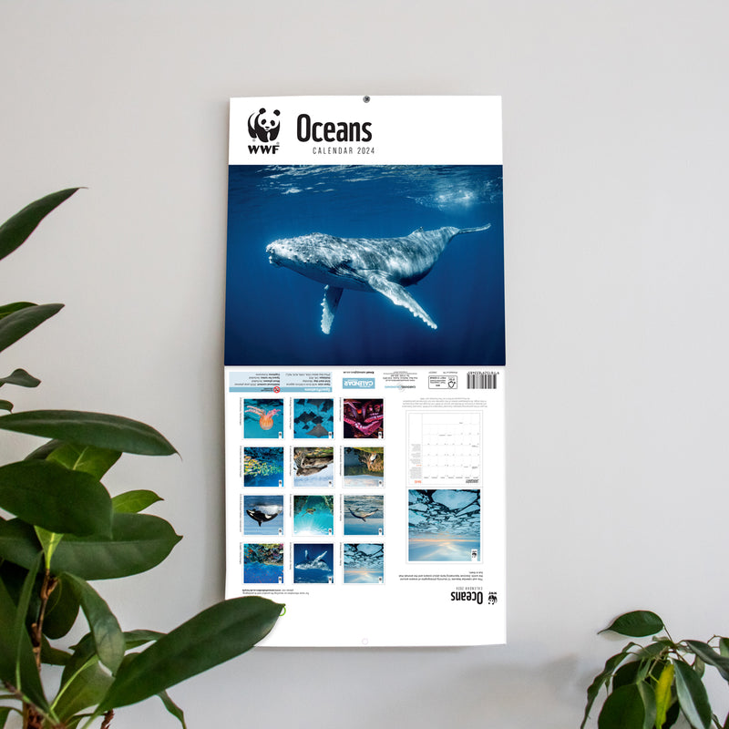 Oceans Wall Calendar 2024
