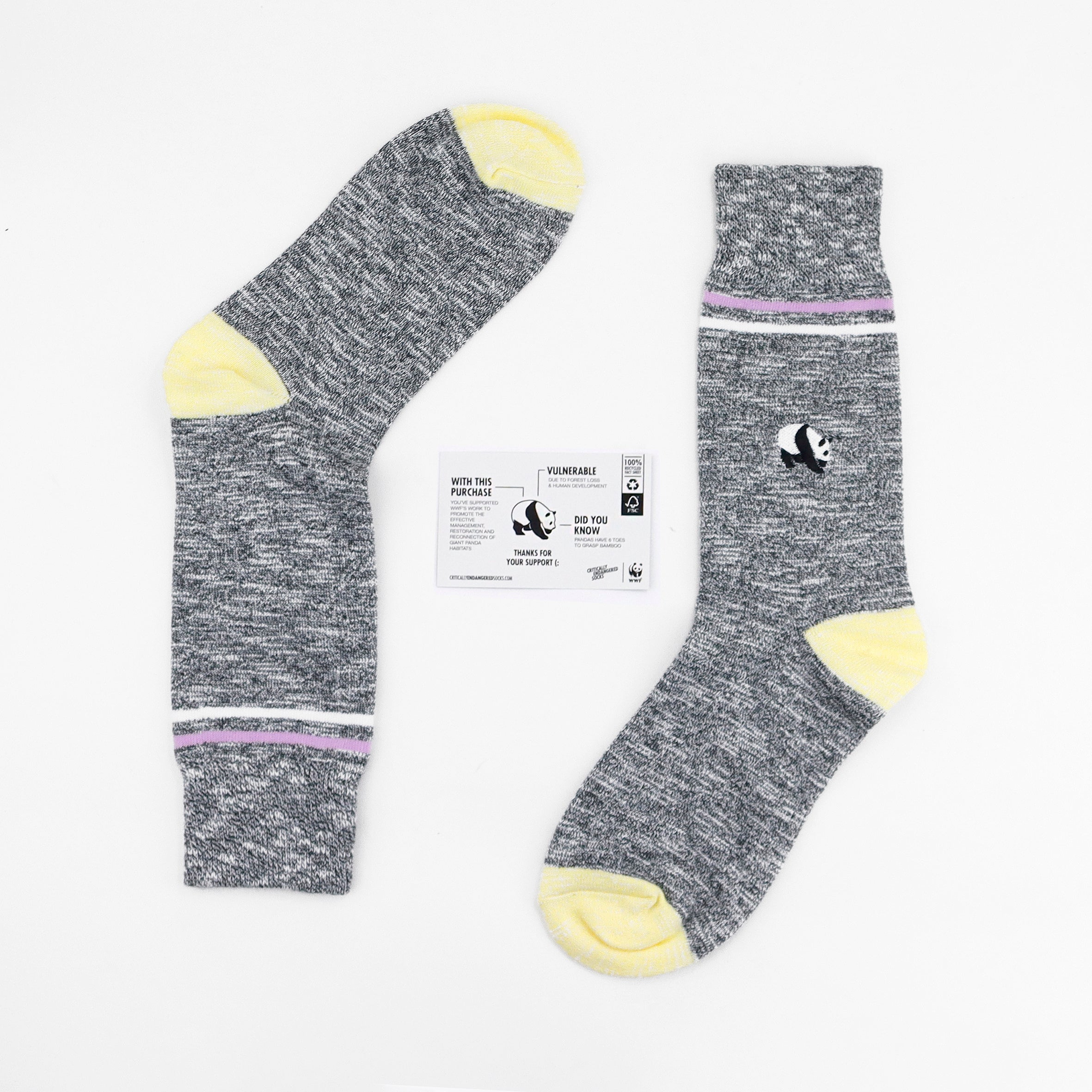 Critically Endangered Adult Speckled Socks - Panda