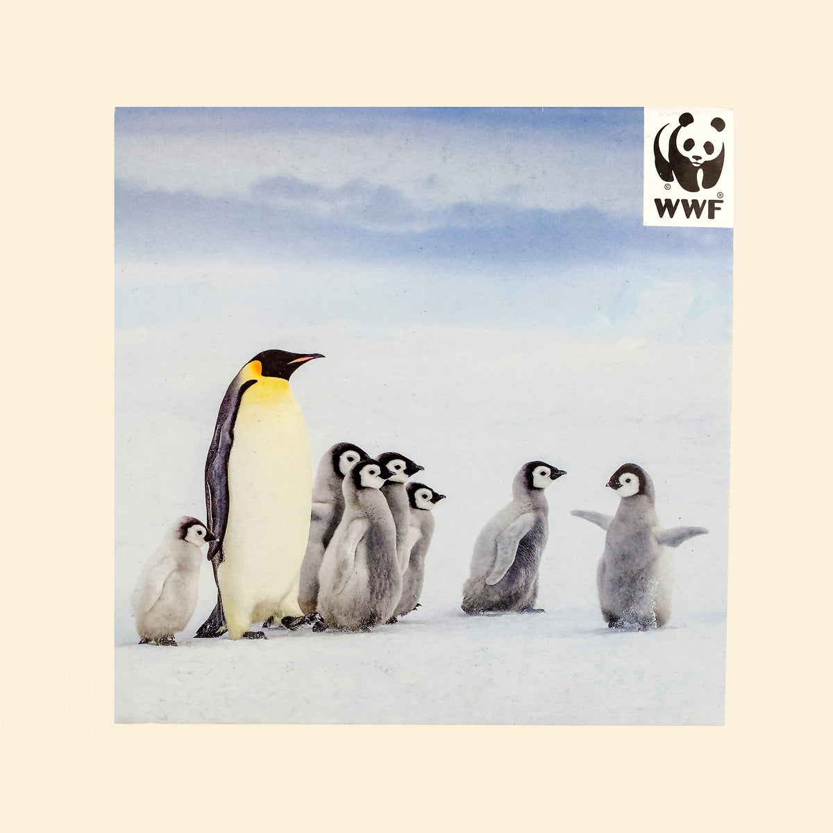 Front of Emperor Penguins Cards pack with WWF logo on cream surface