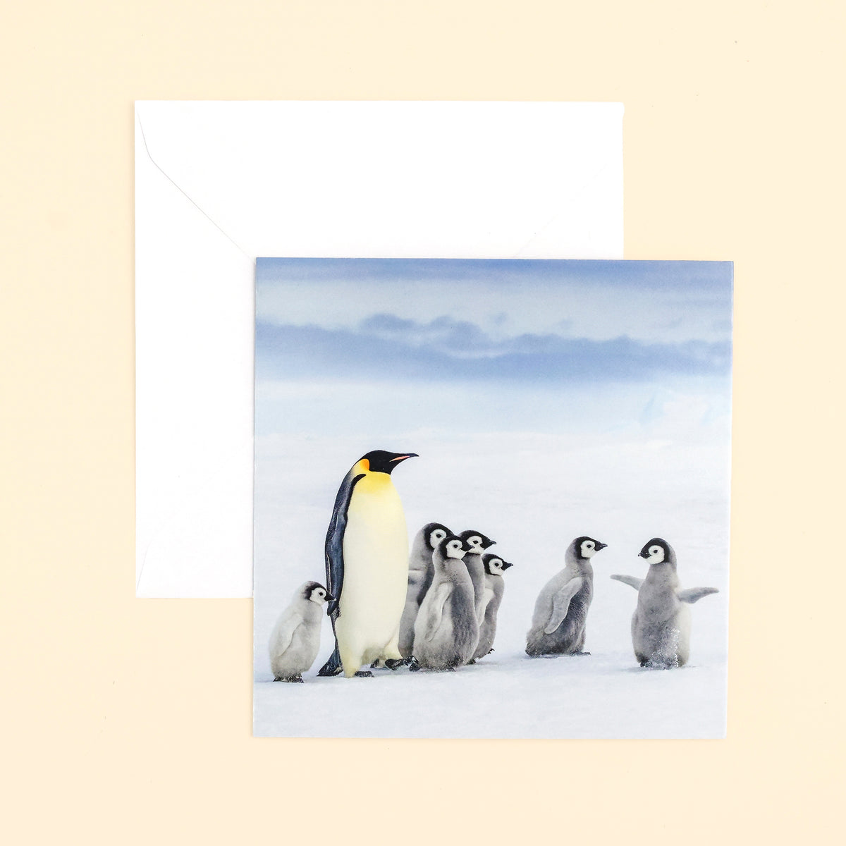 Emperor Penguins Card with envelope on cream surface