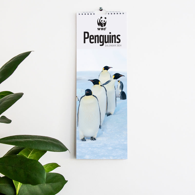 Penguins Slim Calendar 2024