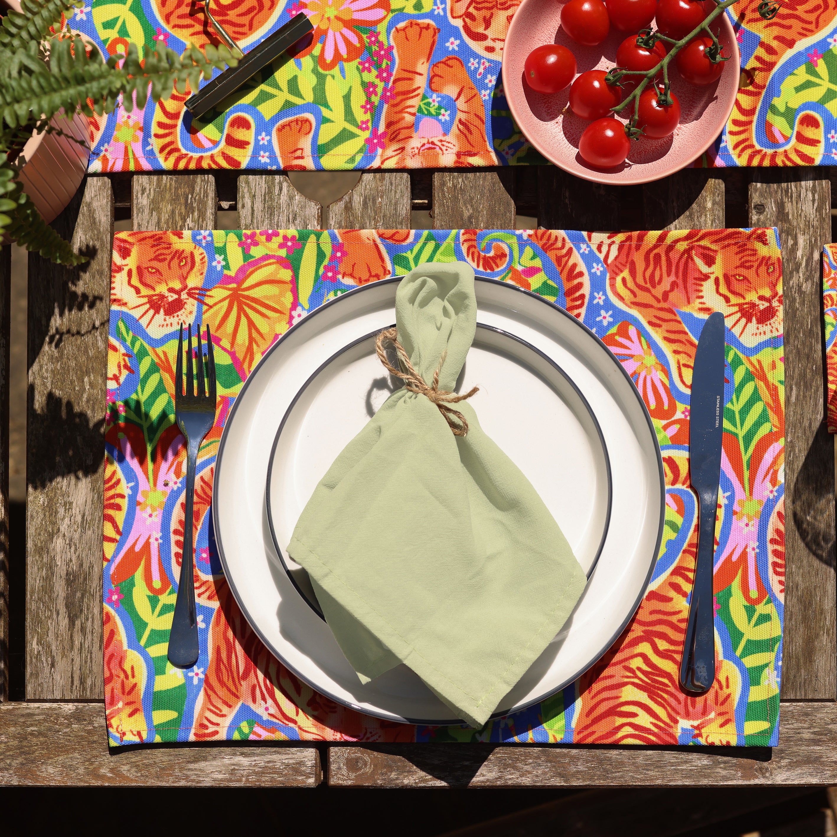 WWF Jungle Roar Place Mats (2 Pack)