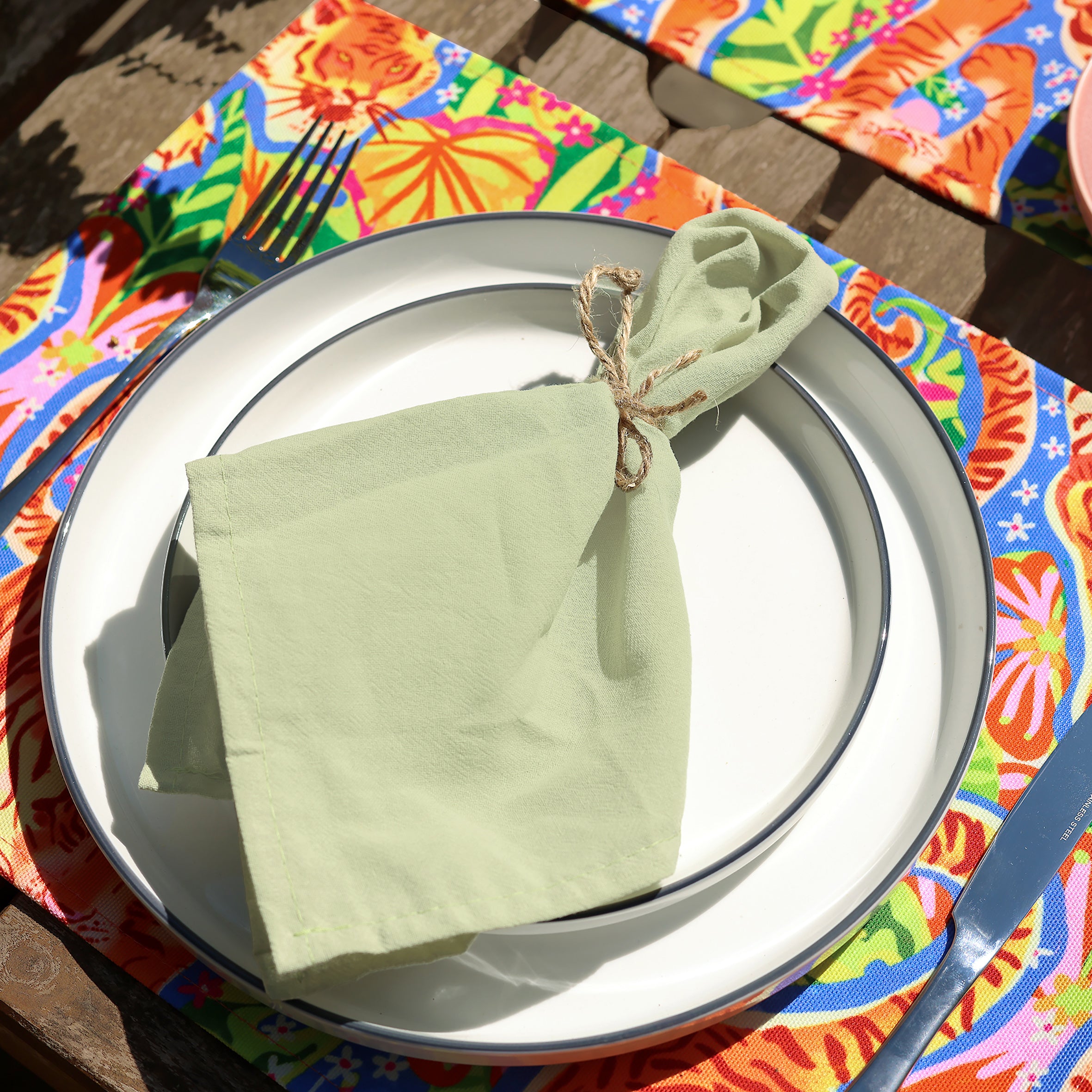 WWF Jungle Roar Place Mats (2 Pack)