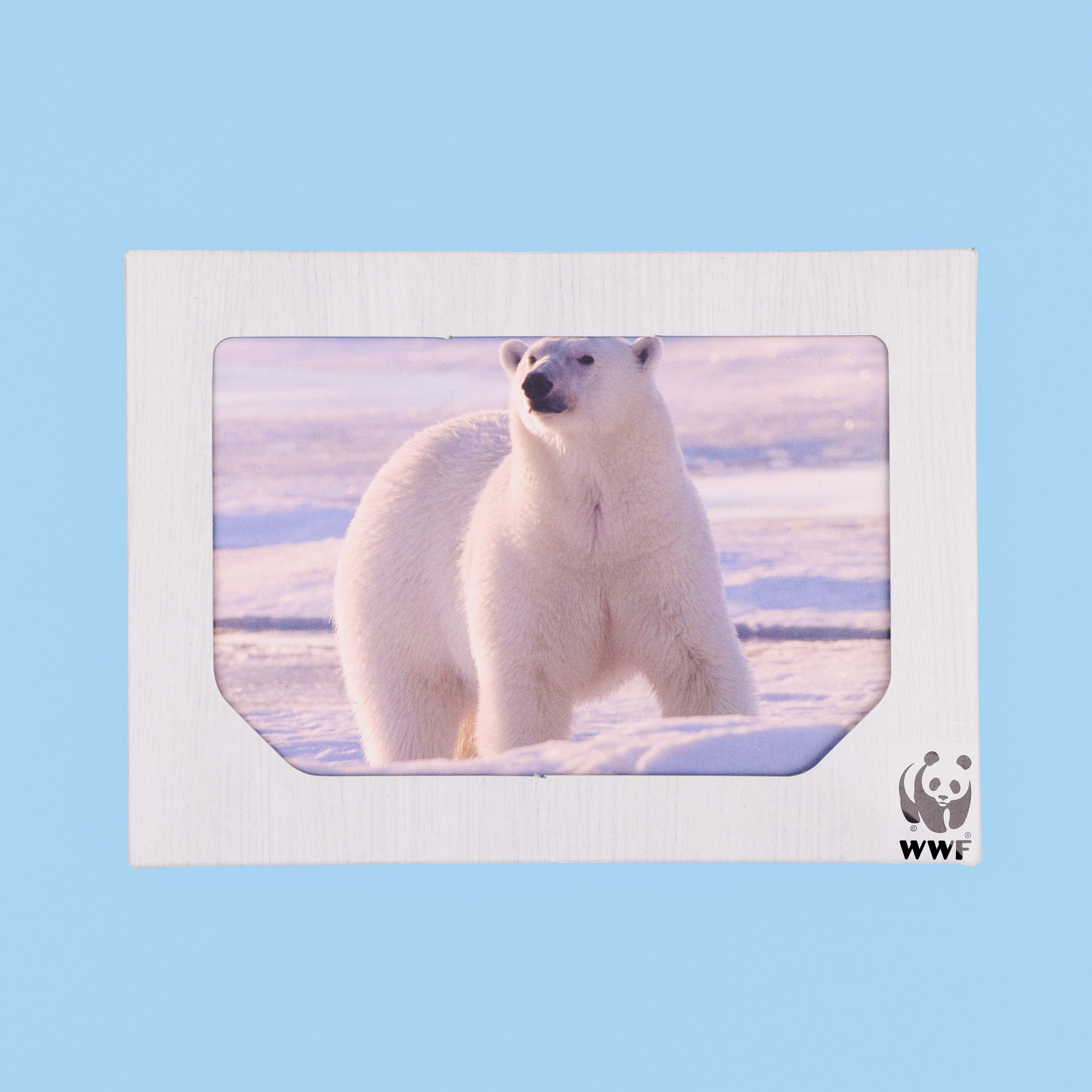 Polar Bear & Penguin Christmas Cards (multipack of 8)