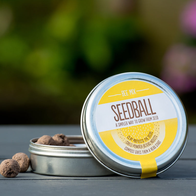 Seedball wildflower bee mix tin