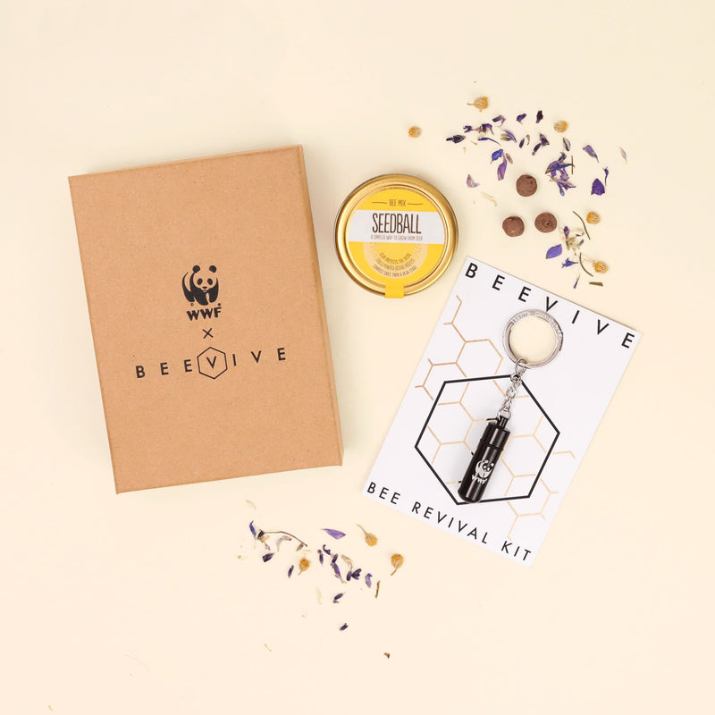Bee Revival Kit Gift Box