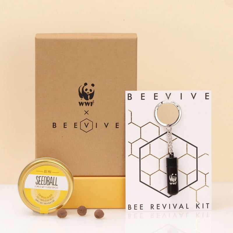 Bee Revival Kit Gift Box