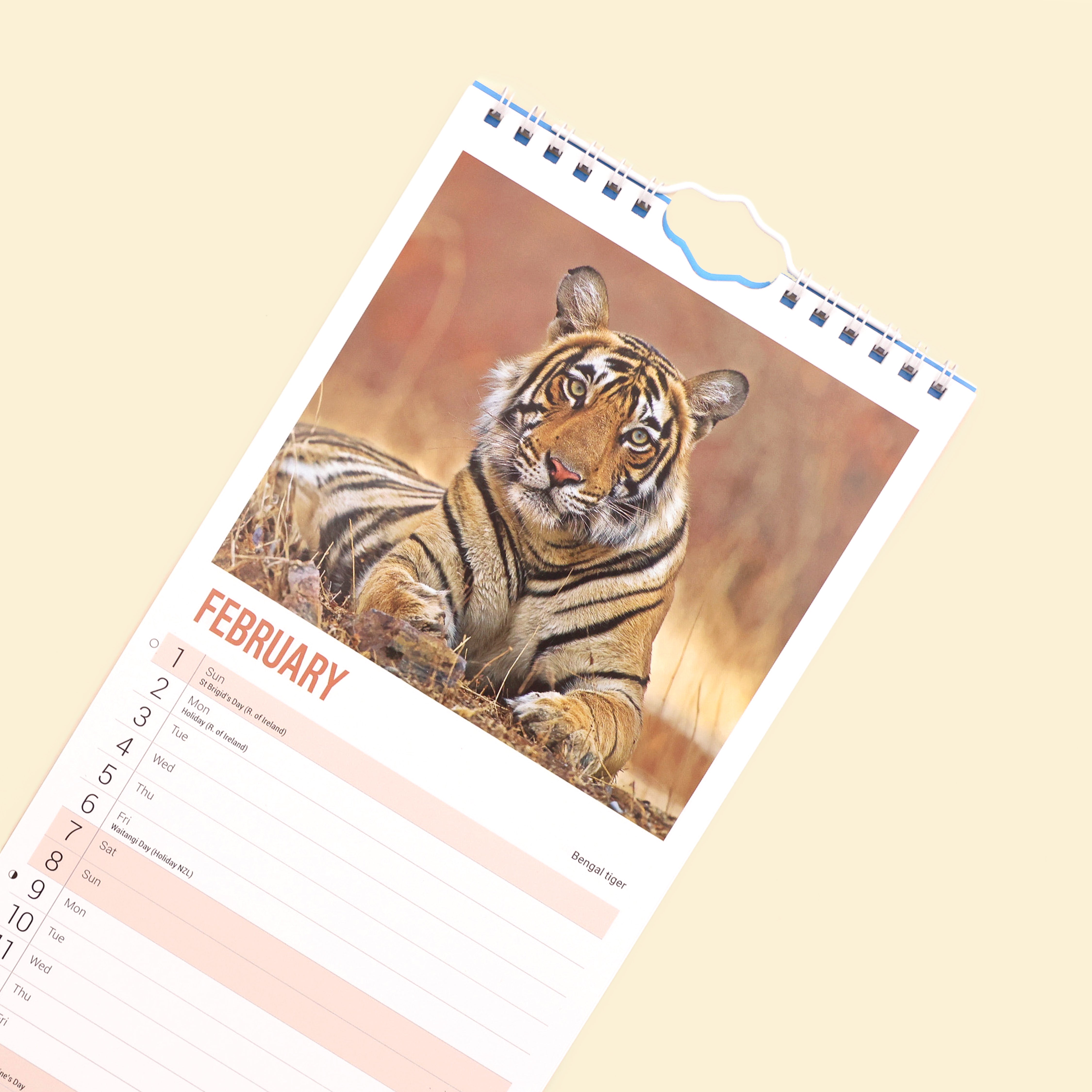 Tiger Slim Calendar 2026