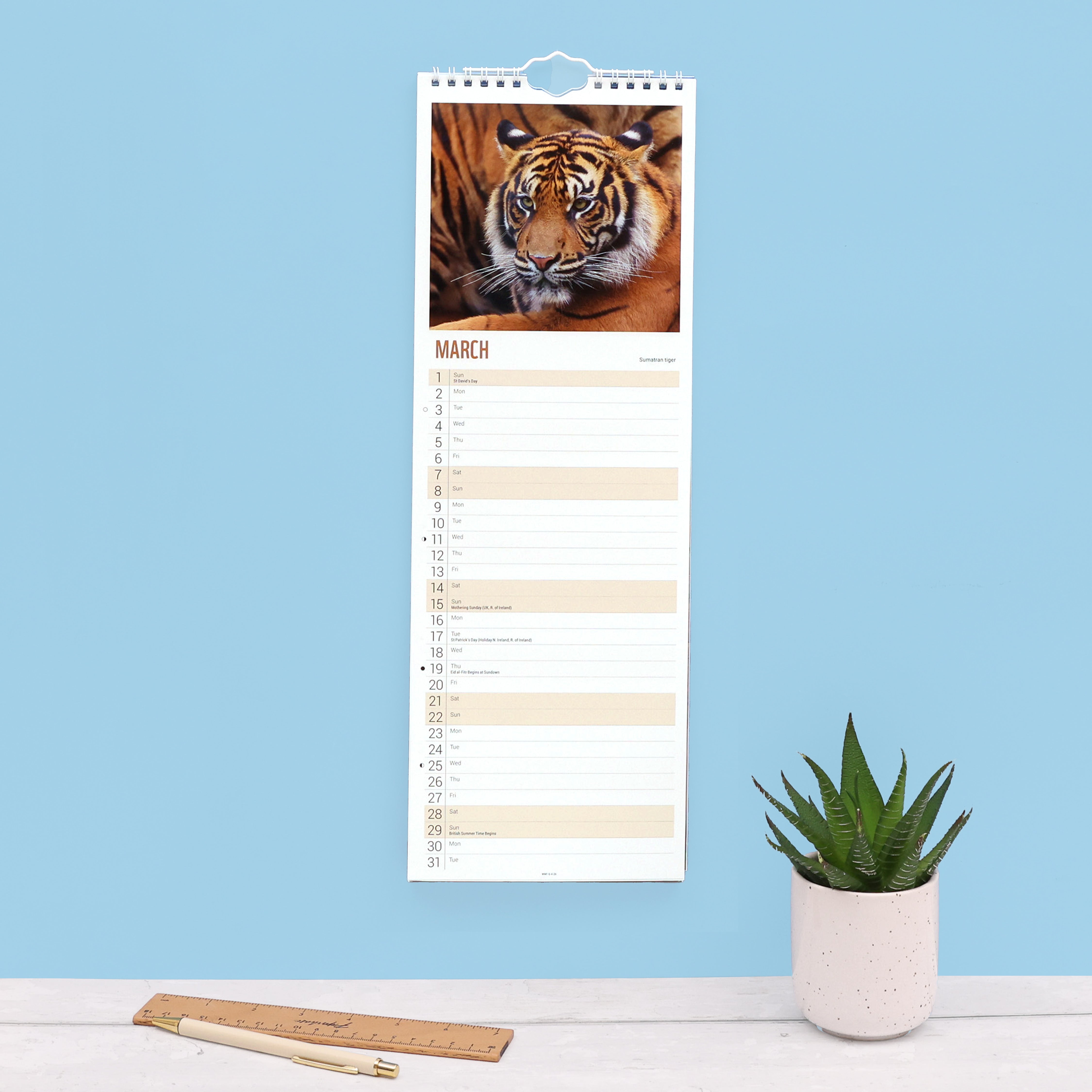 Tiger Slim Calendar 2026