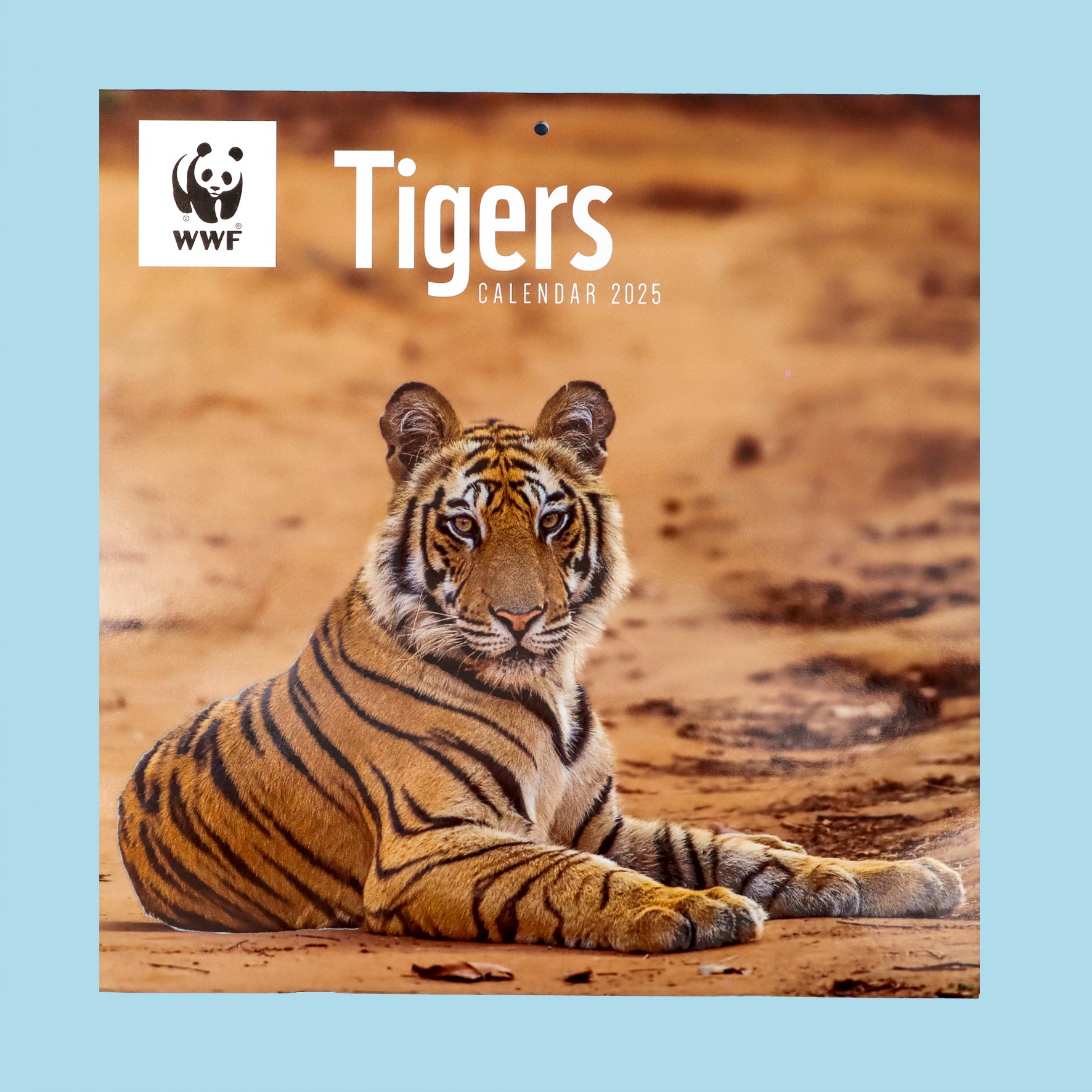 Tiger Wall Calendar 2025