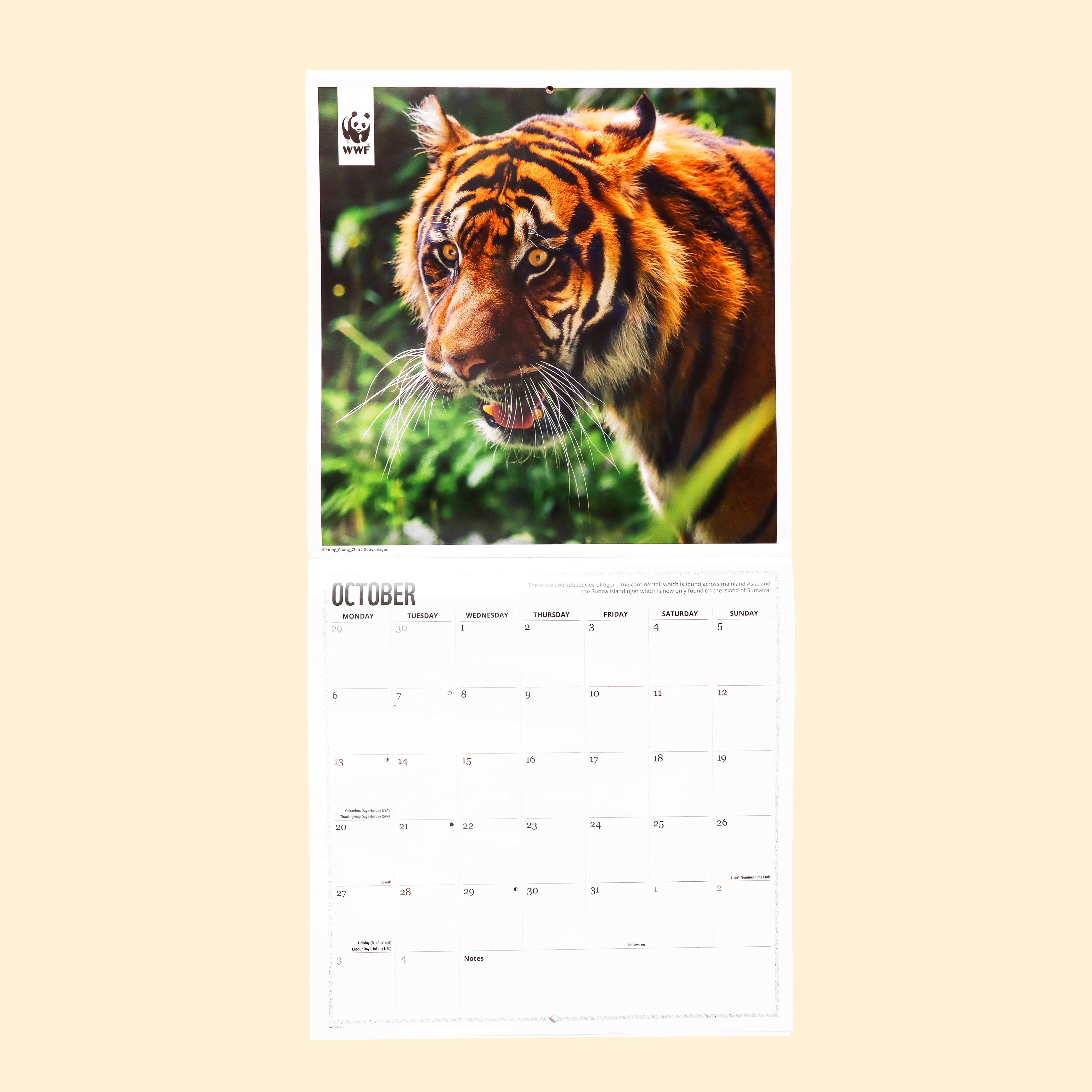 Tiger Wall Calendar 2025