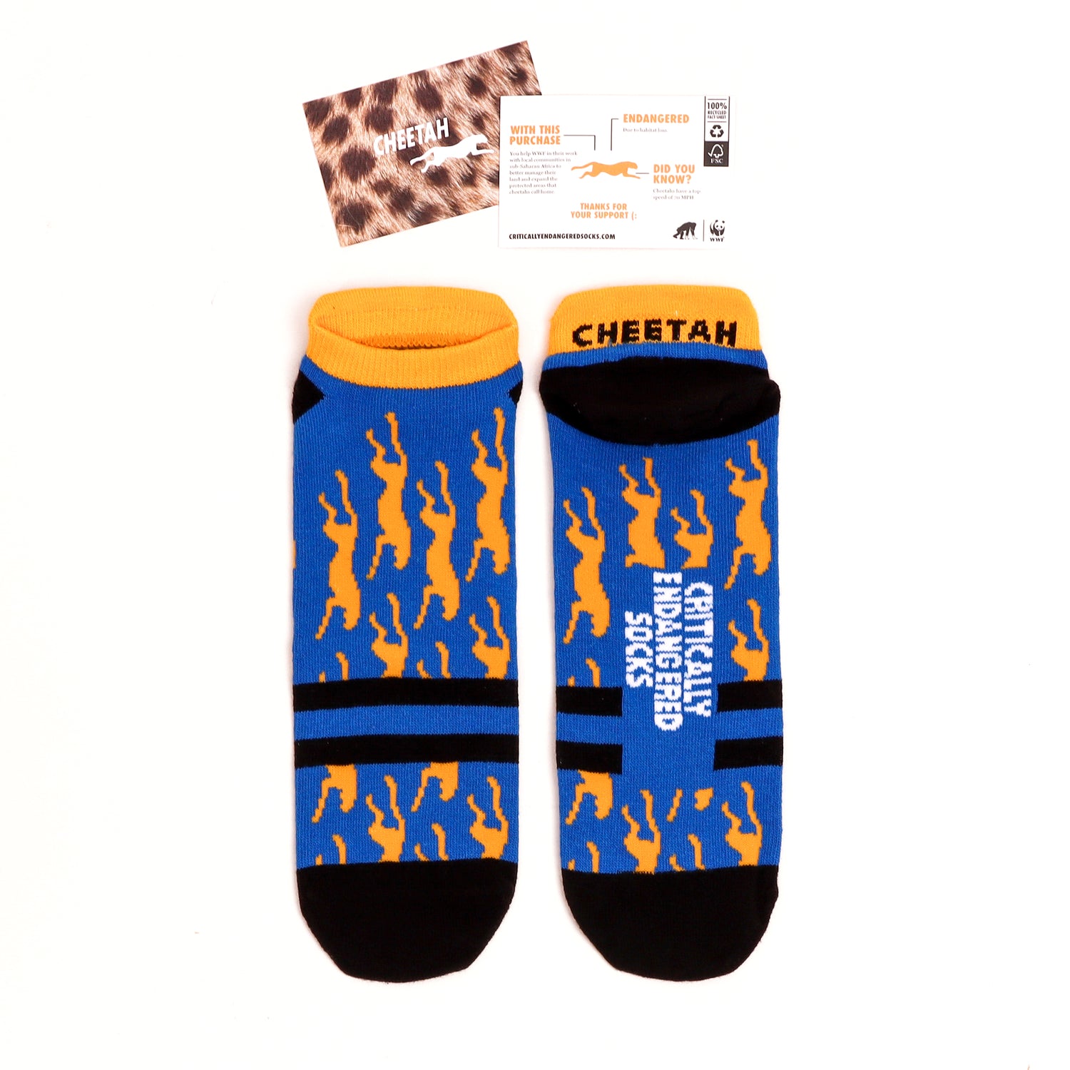 Critically Endangered Adults Sports Socks