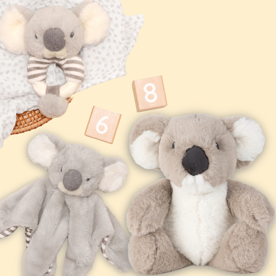 Koala Baby Gift Set