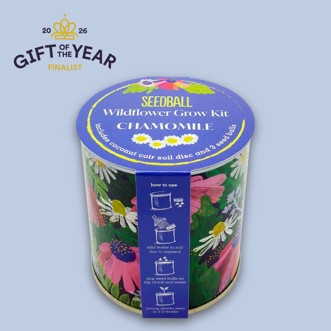 Seedball Wildflower Grow Kit - Chamomile