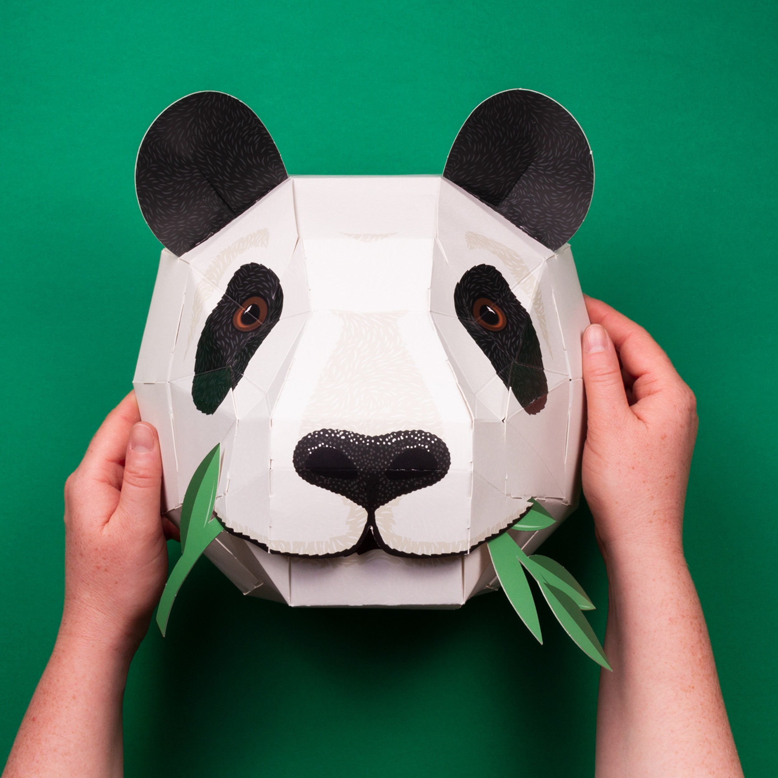 Constructed cardboard panda head with hands holding it either side against green surface