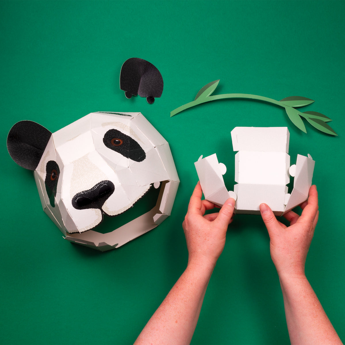 Constructing of the cardboard panda head jaw on green surface