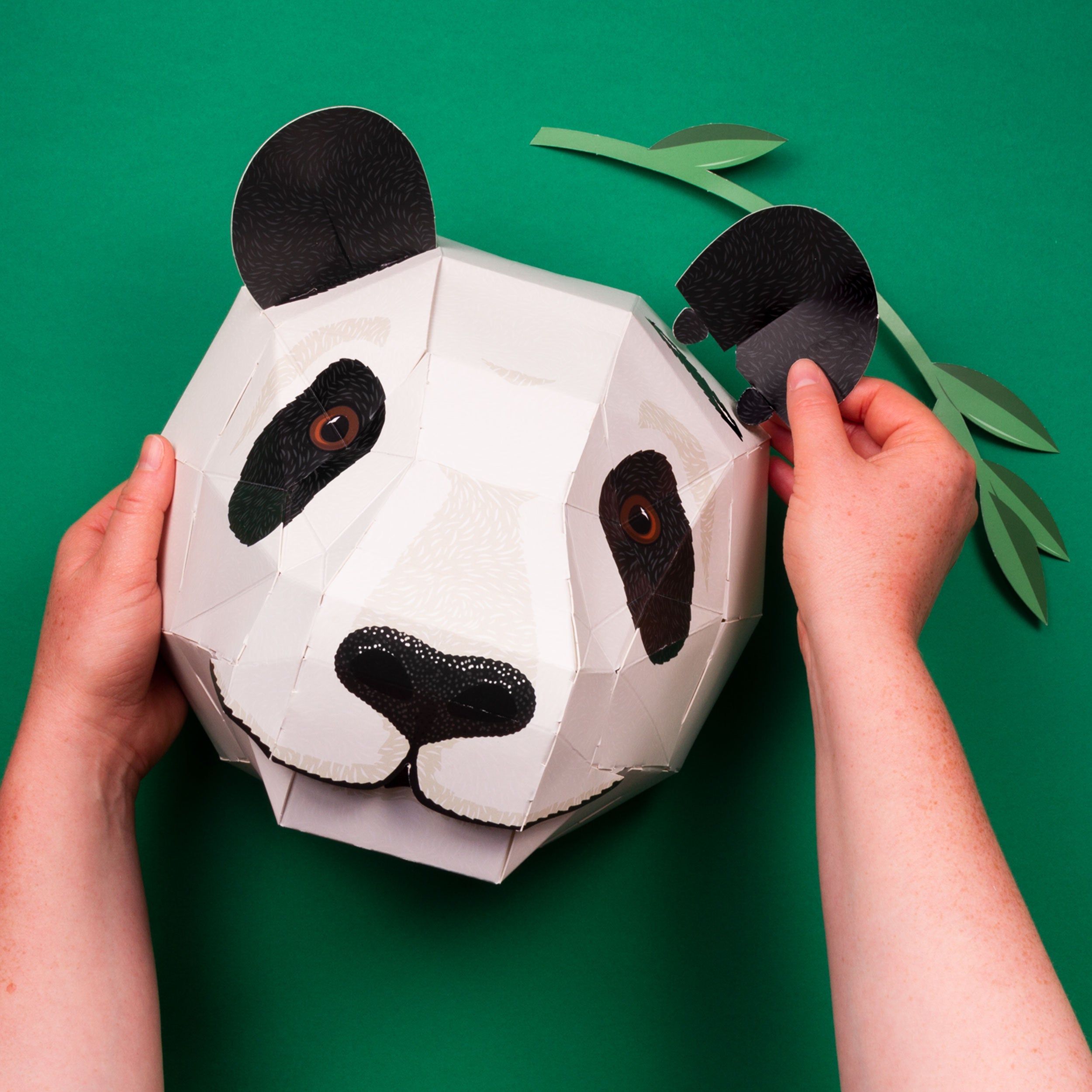 Constructing of the cardboard panda head hands attaching ear on green surface