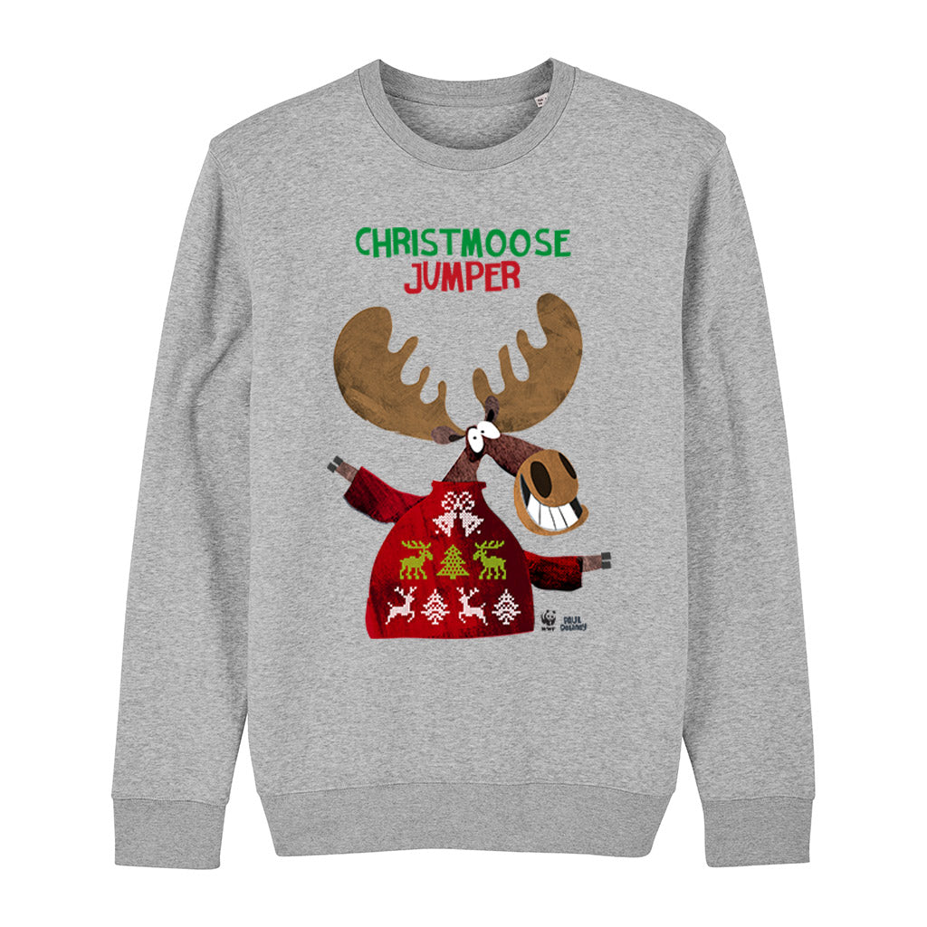 Exclusive Paul Delaney 'ChristMoose' Jumper - Kids