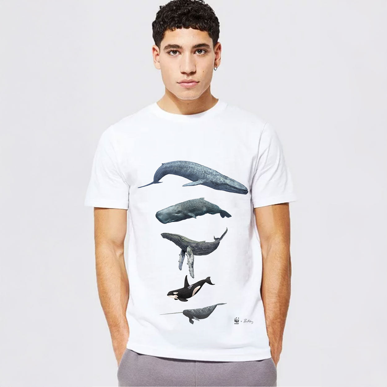 Ben Rothery T-Shirts