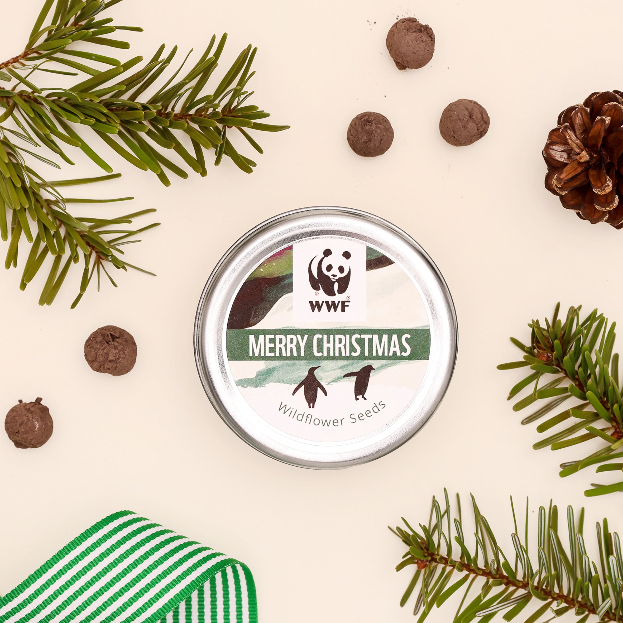 Limited Edition Christmas Seedball Wildflower Tin