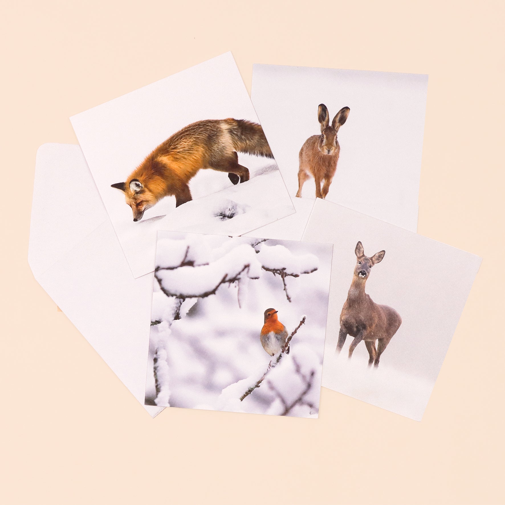 UK Nature Photography cards (multipack of 8)