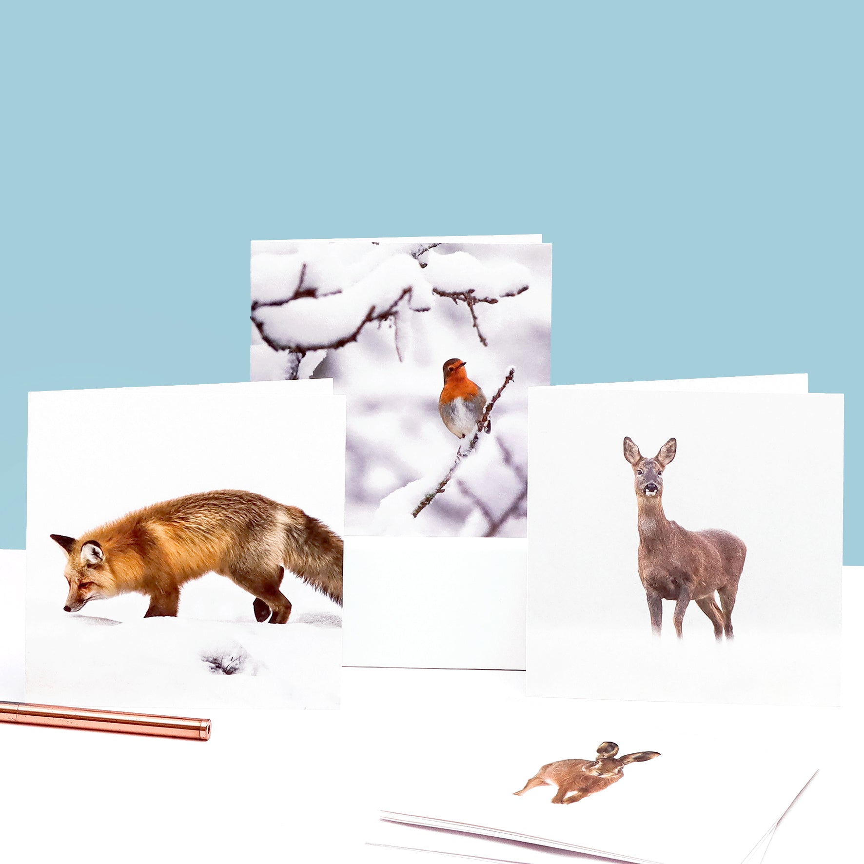 UK Nature Photography cards (multipack of 8)