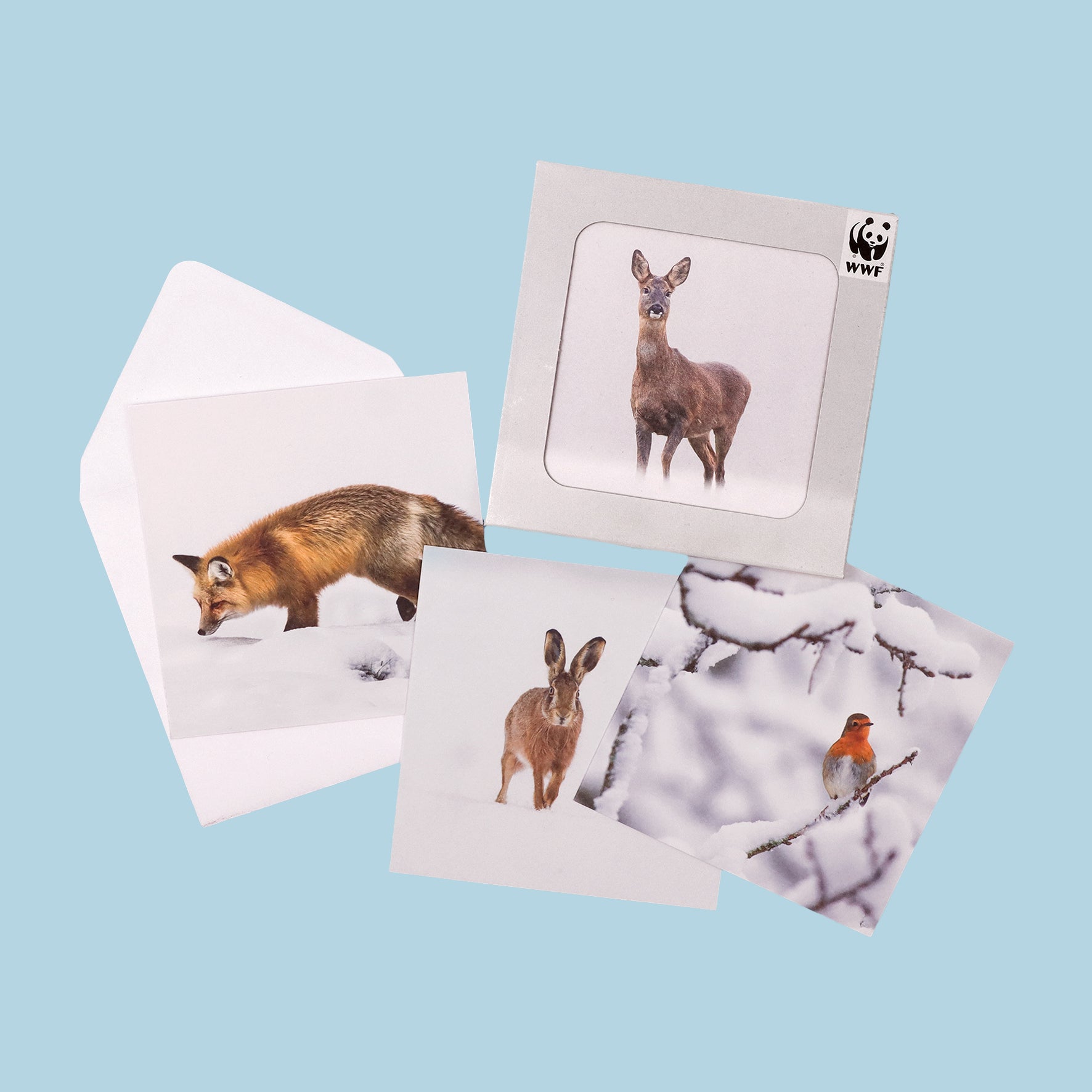 UK Nature Photography cards (multipack of 8)