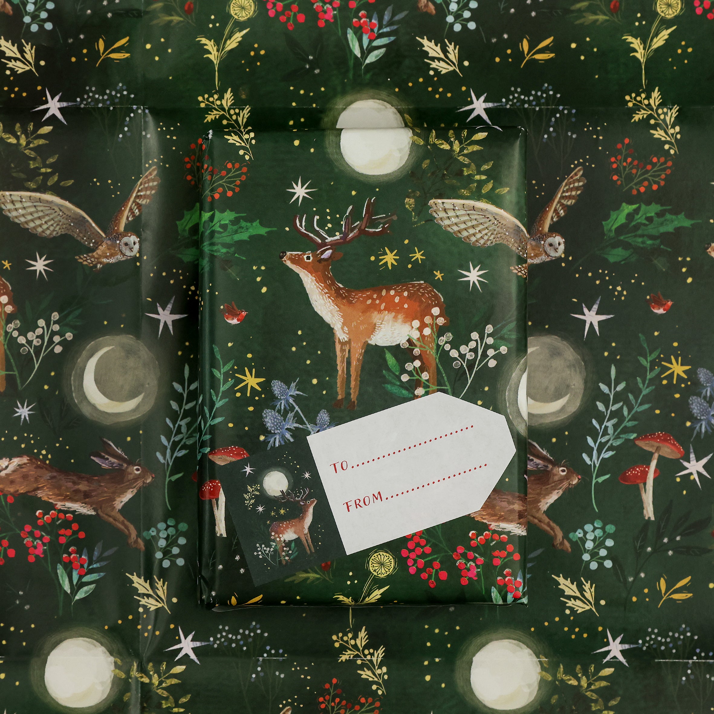 Close up of the dark green woodlands design wrapped around a gift with matching sticker tag