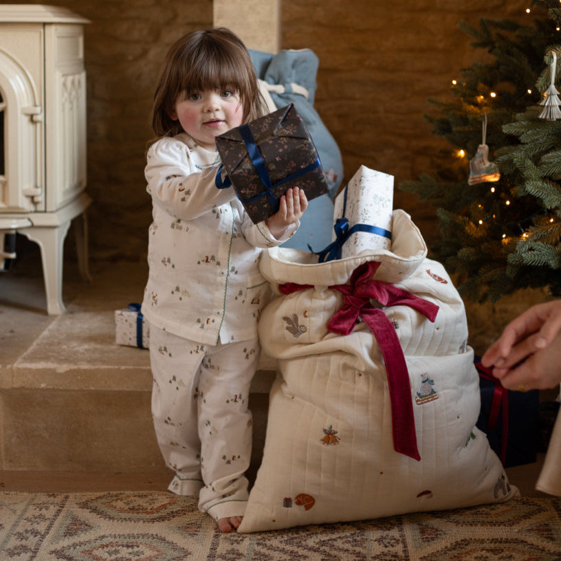 Present Sack - Bear Cub & Friends