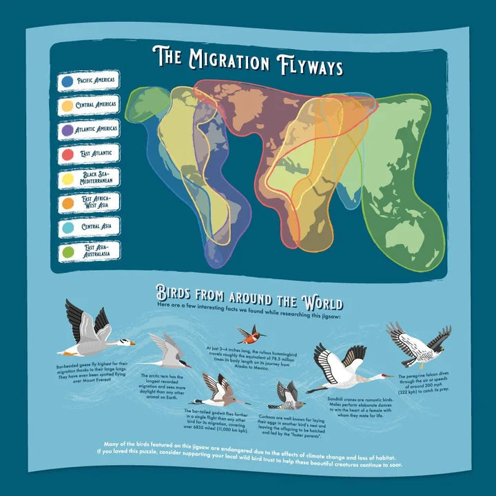 Close up of an illustrated Map of bird migrations around the world