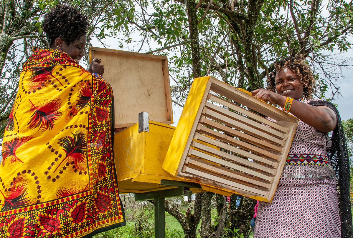 A beehive in a conservation area | E-Gift