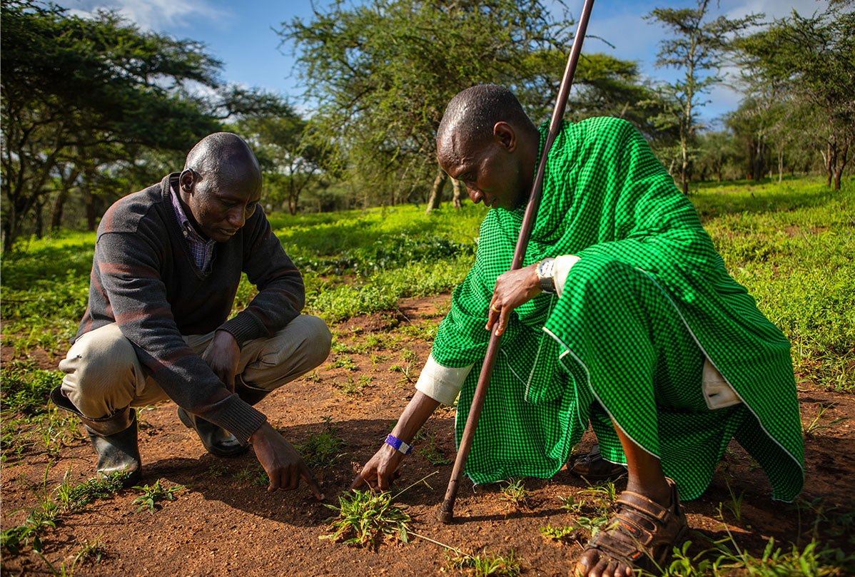 Training of community lion guardians