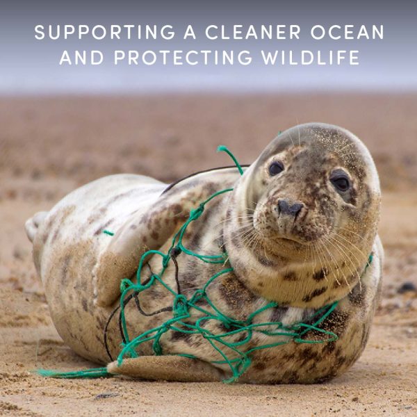 Behaviour Change Cornwall Tenby North Beach Bracelet