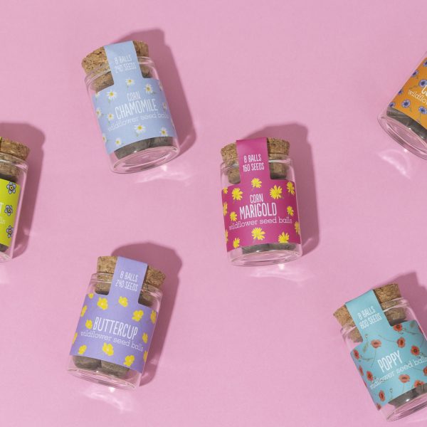Seedball Wildflower Jar - Corn Marigold