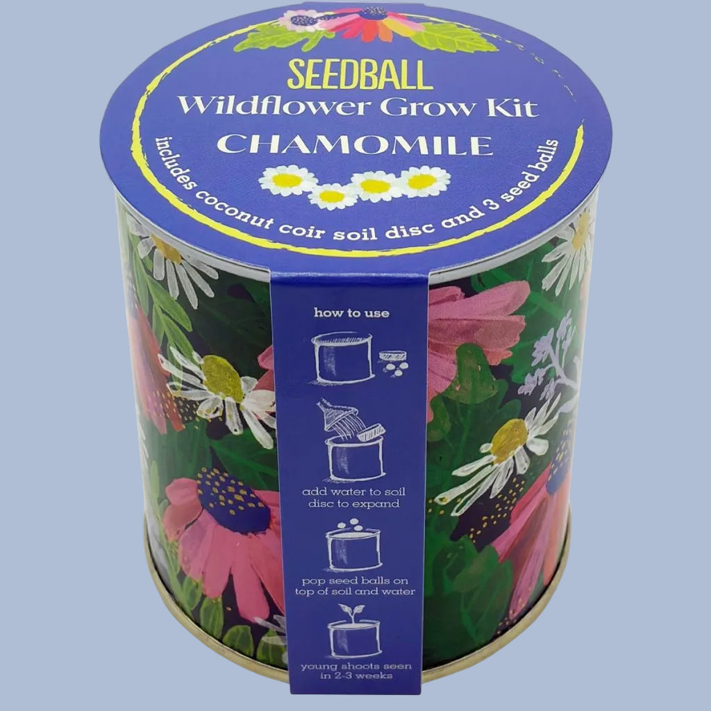 Seedball Wildflower Grow Kit - Chamomile