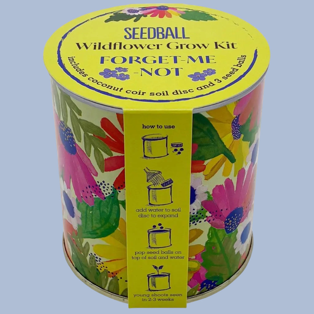 Seedball Wildflower Grow Kit - Forget-Me-Not