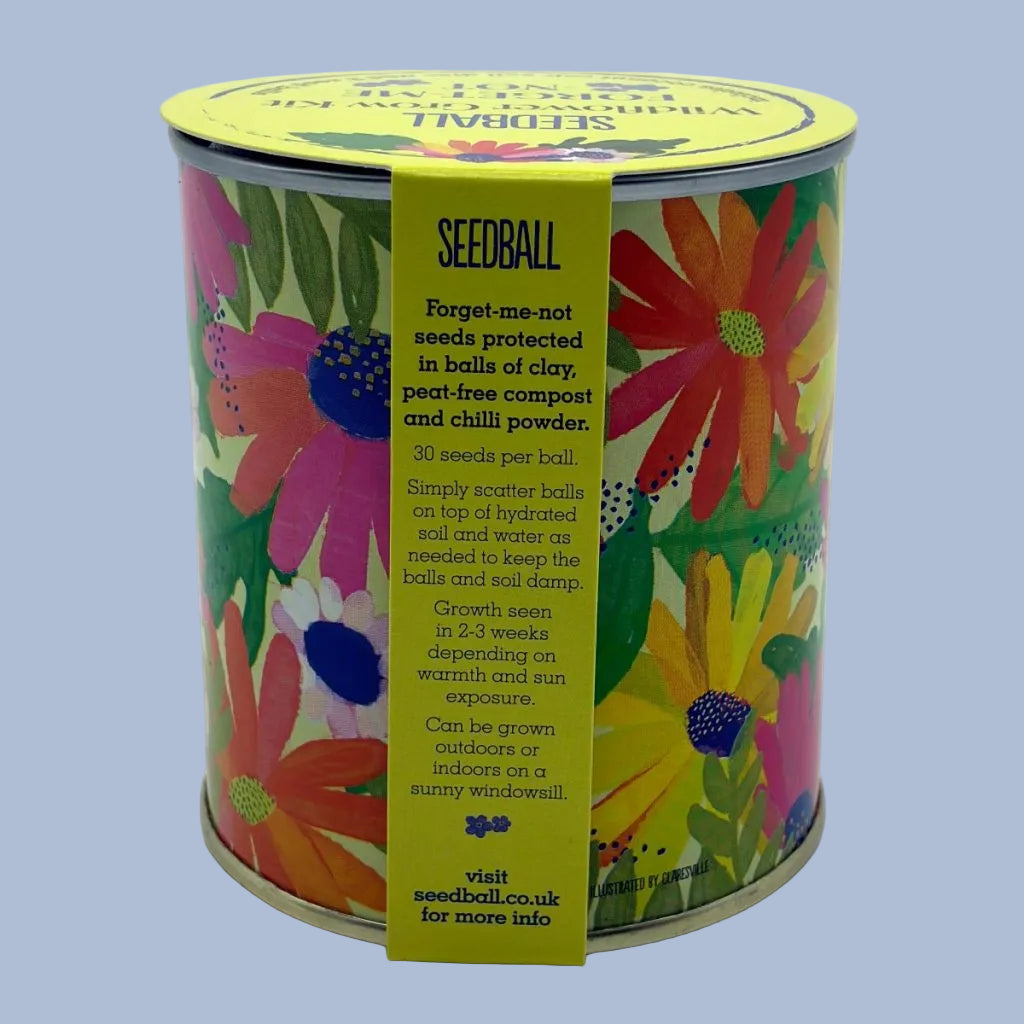 Seedball Wildflower Grow Kit - Forget-Me-Not