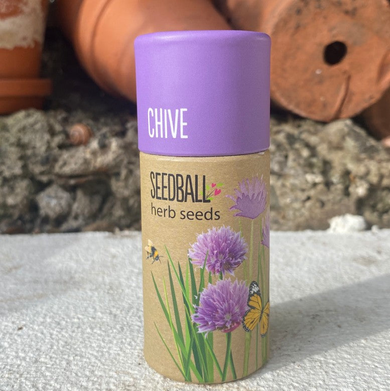 Seedball Herb Tube Collection - Chive