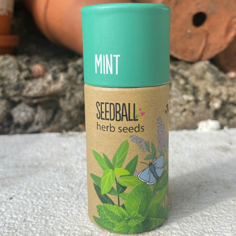 Seedball Herb Tube Collection - Mint