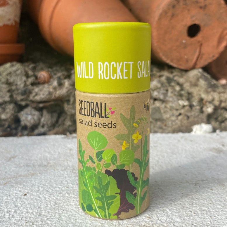 Seedball Herb Tube Collection - Wild Rocket