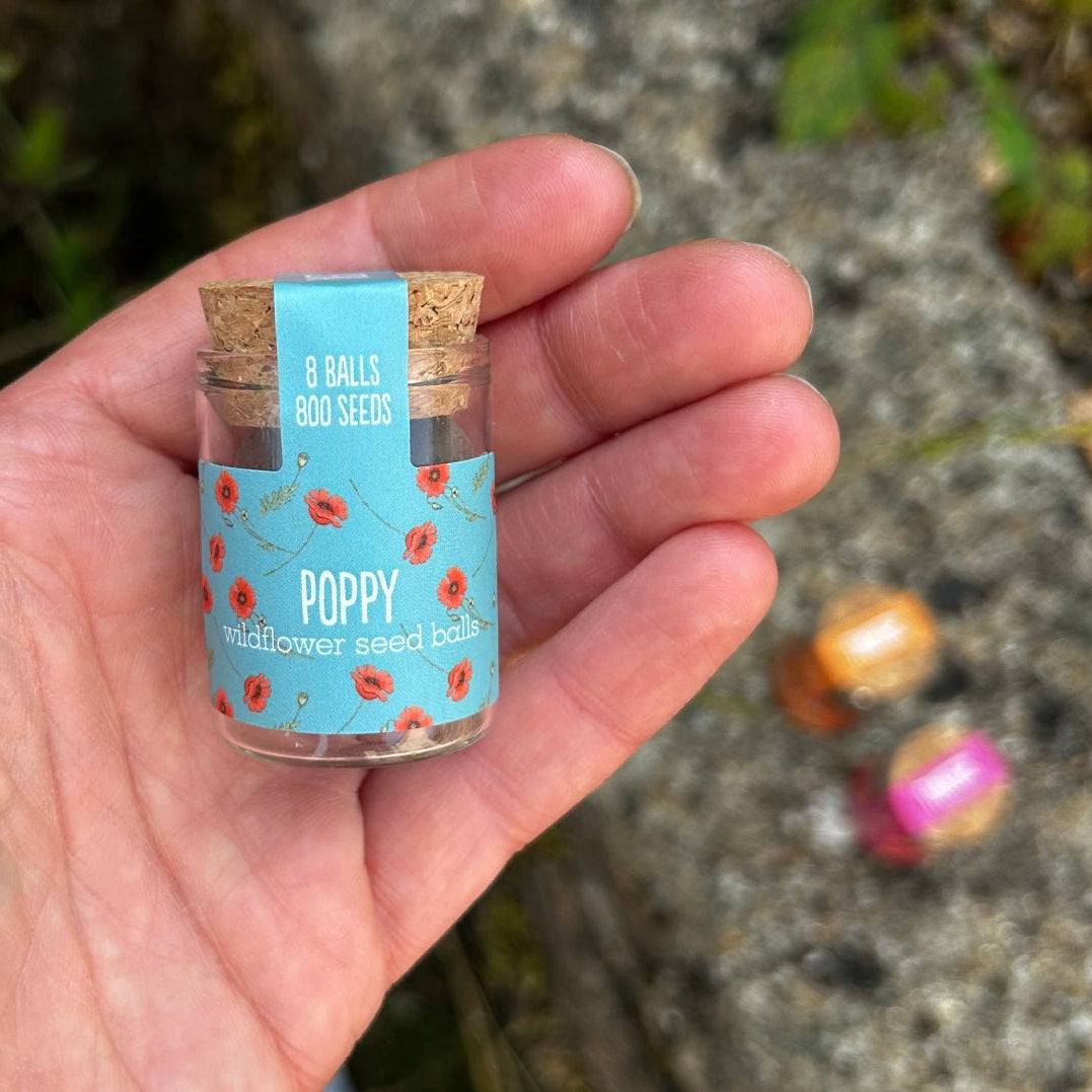 Seedball Wildflower Jar - Poppy