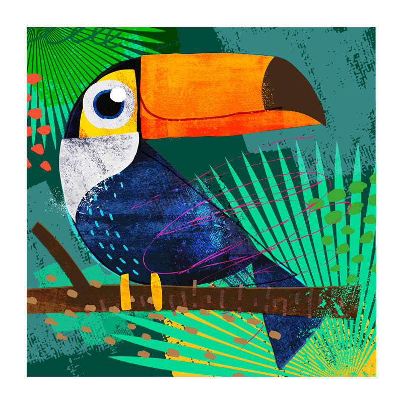 Toucan Print