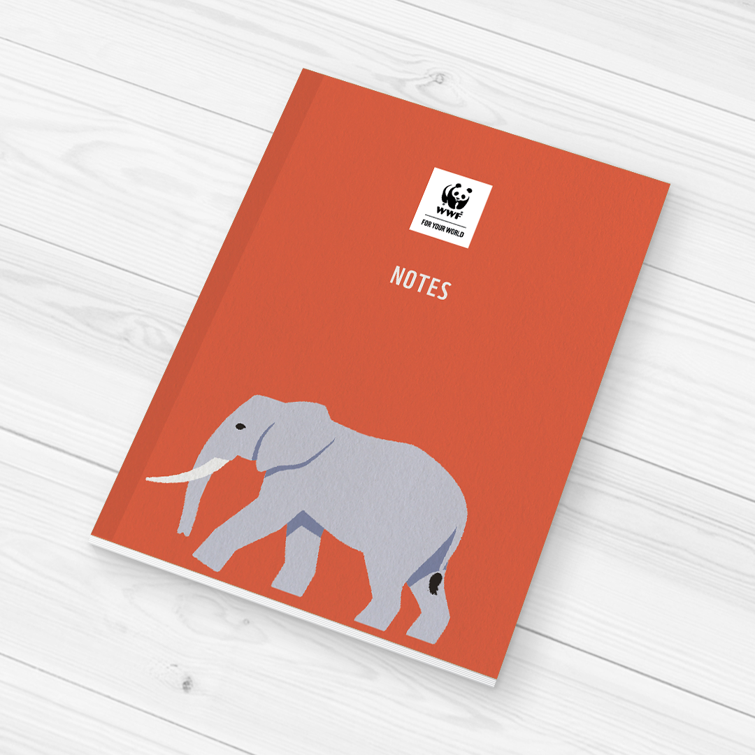 A5 Notebook - Elephant